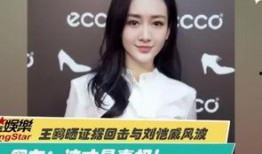 雷蕾最新爆料视频大全,揭秘幕后真相与精彩瞬间